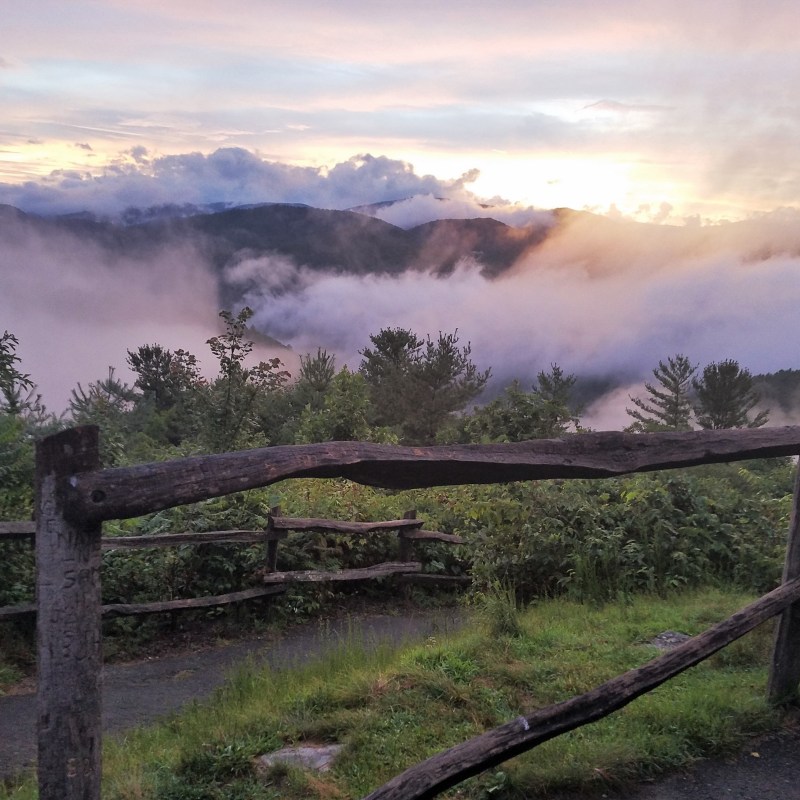 Hiking Tour in Asheville NC