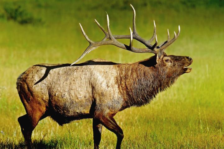 best hikes asheville nc