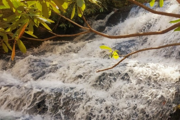 asheville hiking tours