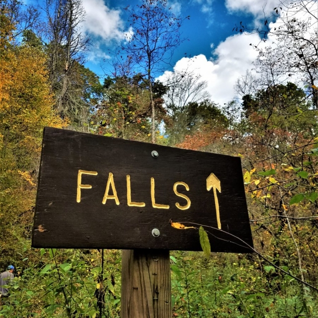 Pisgah National Forest waterfall trail near Asheville