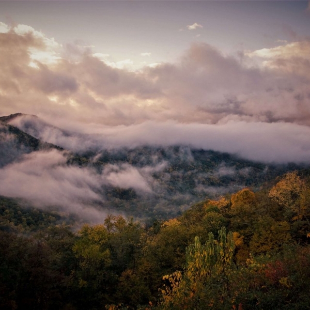 Misty clouds visible from the Blue Ridge Parkway