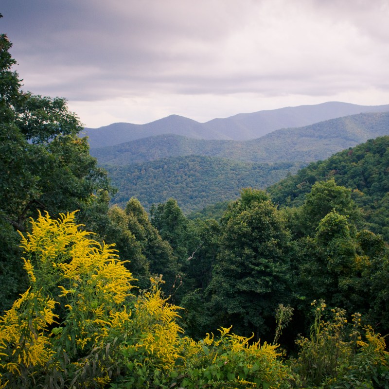 Mountain views from the Blue Ridge Parkway