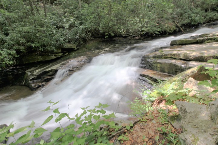Trout stream visit during a Smoky Mountain hike