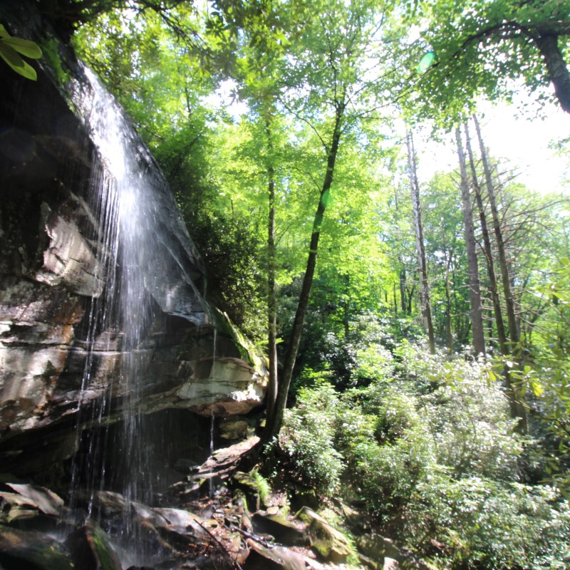 Hidden Asheville NC Waterfall on our Group Tour