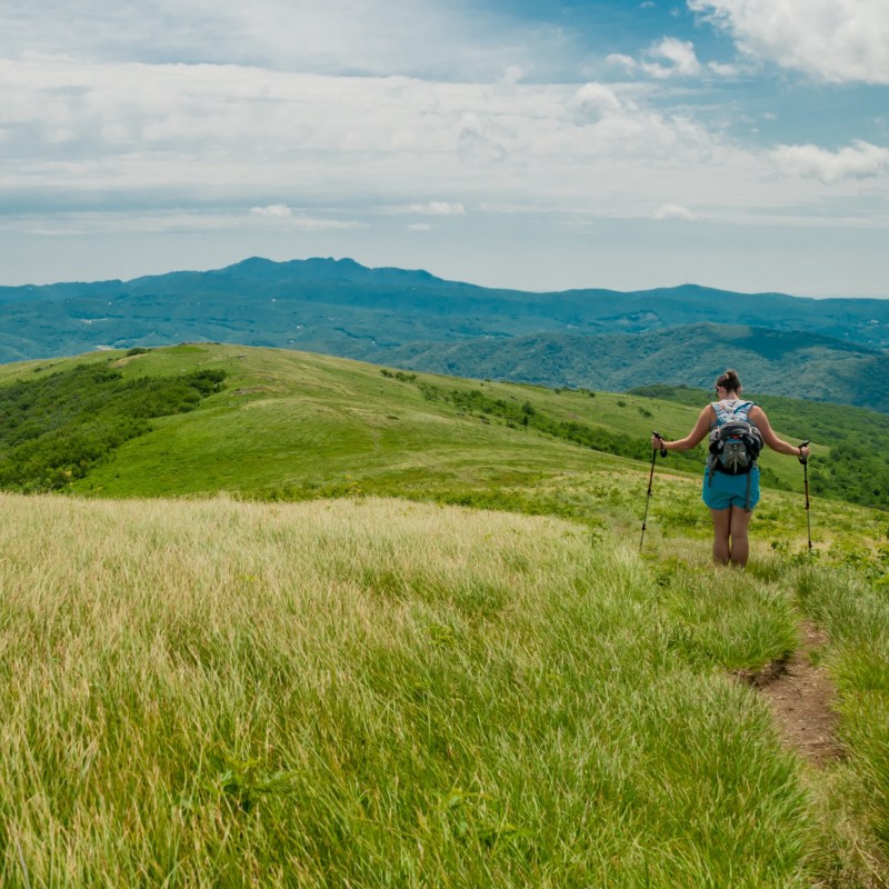 Hiking in Asheville NC