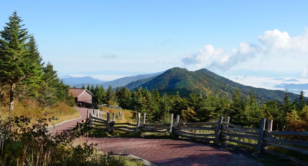 a bench in front of a mountain