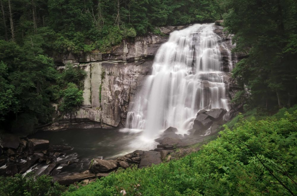 a waterfall surrounded by trees