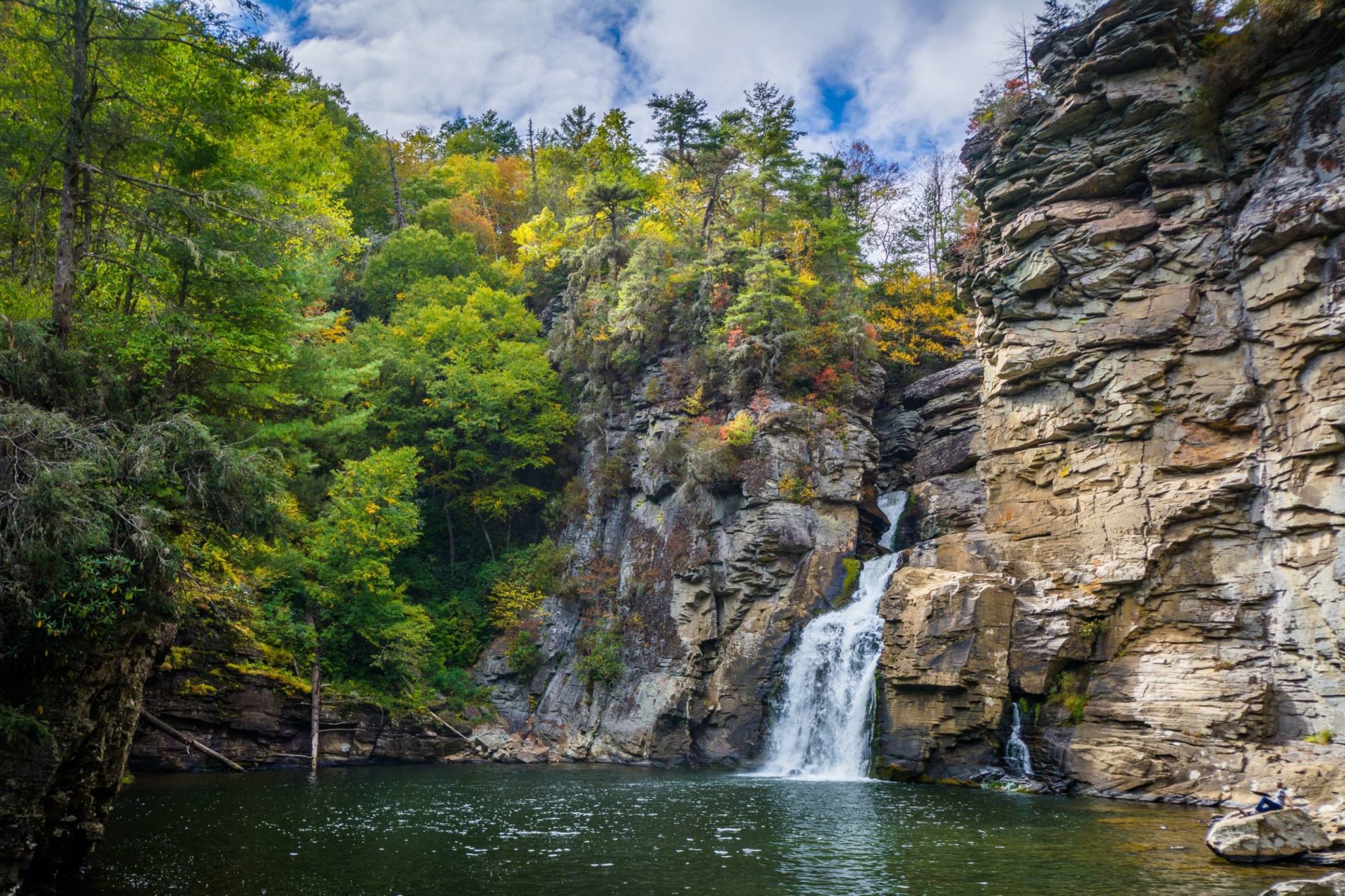 a waterfall surrounded by trees