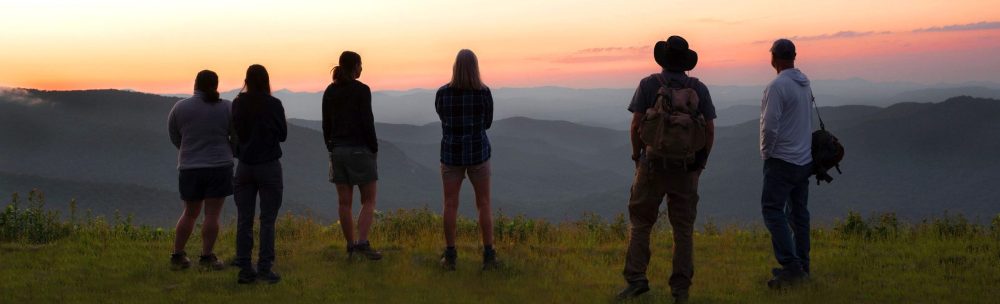 a group of people standing on top of a grass covered field