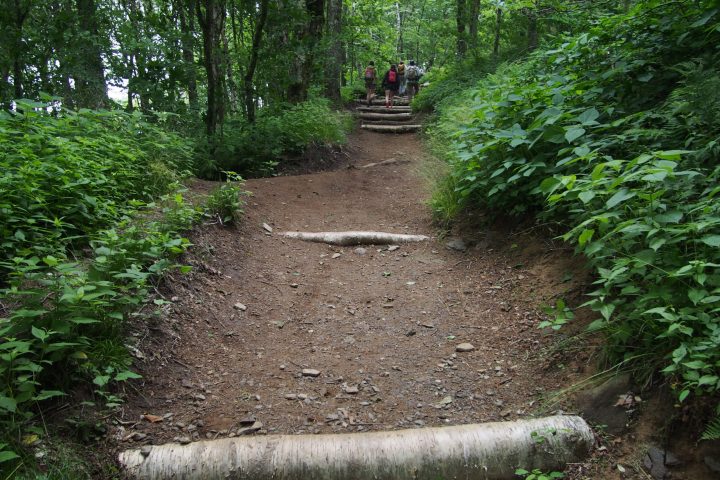 hiking trail with log steps