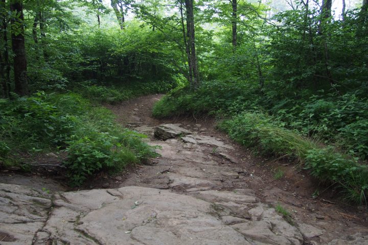 hiking trail with rock surface