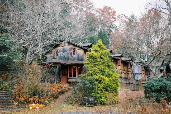 a house with bushes in front of a building