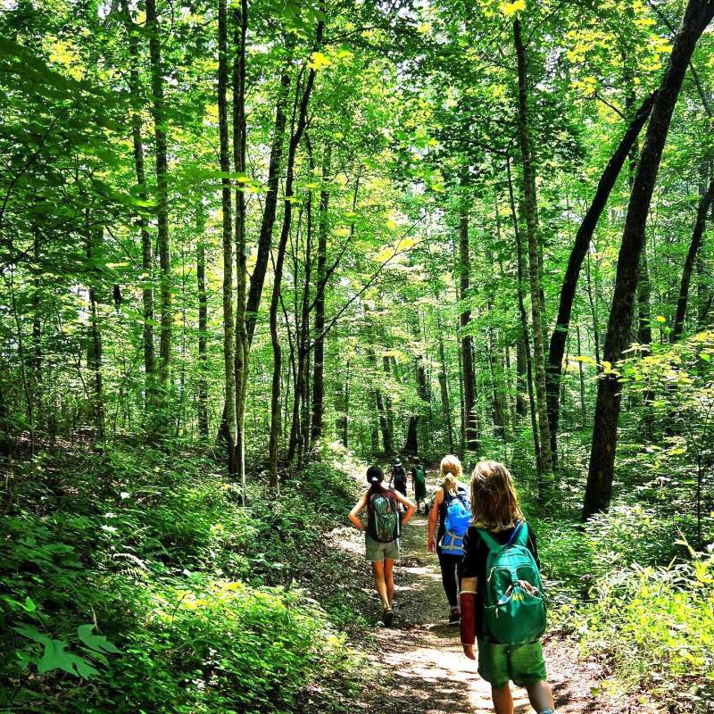 a group of people in a forest