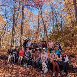 a group of people standing next to a tree